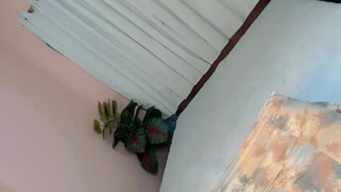 LEXY online show from February 22, 2:19 pm