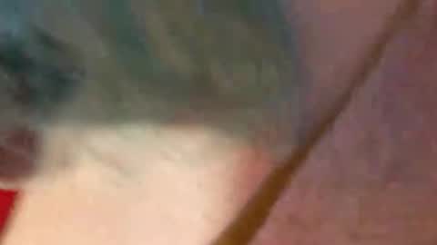 brianriver online show from January 6, 8:51 am