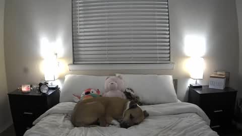 Bridget Black online show from June 20, 1:41 am