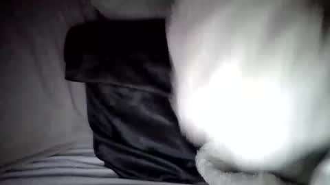 Snapshot of caligirl310r chatting on February 18, 7:10 am Caligurl   Queen    Head Fluffer In Charge  Goddess of Cocktease   Mistress of Holes online show from February 18, 7:10 am