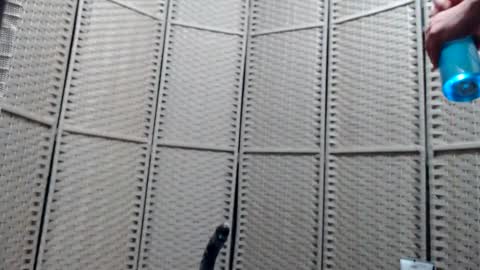 cassidystretch4 online show from September 23, 7:03 am