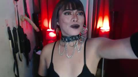 diana online show from November 23, 5:53 am