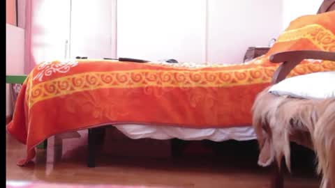 Lucia online show from November 10, 11:11 am