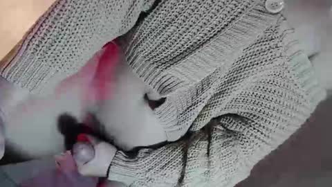 DANIELLA - DONT FORGET TO GIVE ME A THUMBSU UP online show from February 2, 12:09 am