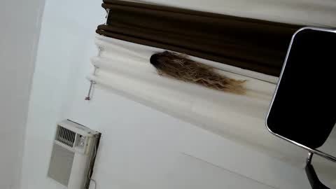 Jasmine online show from October 17, 4:38 am