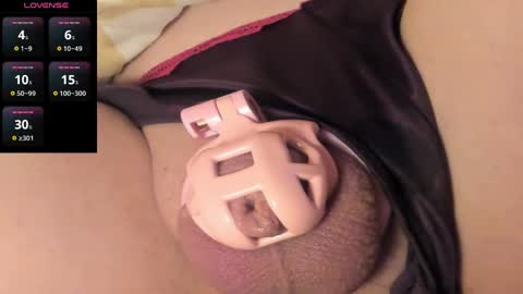 Meadow online show from January 11, 12:29 pm