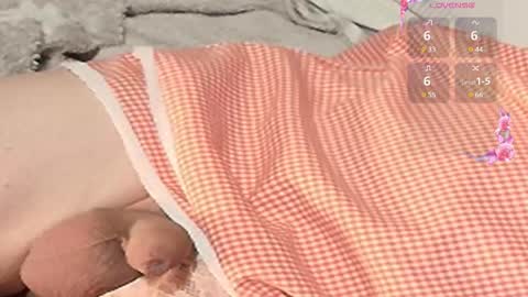 Meadow online show from February 11, 11:21 am