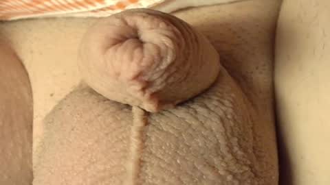 Meadow online show from March 7, 11:05 am