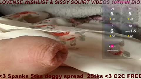 Meadow online show from March 17, 9:44 am