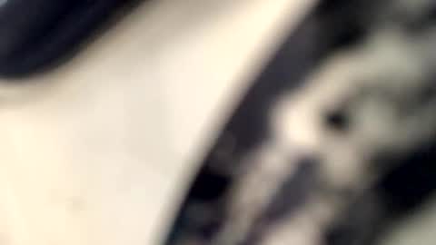 FEMALE2MALE online show from February 10, 5:09 pm