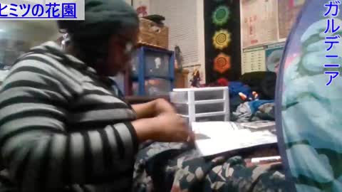 Gardenia online show from February 20, 5:12 am