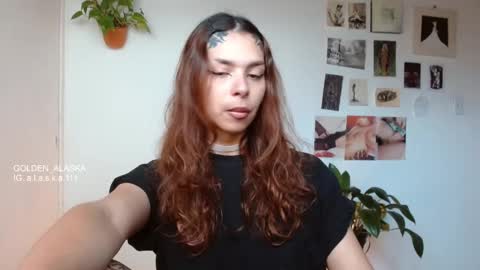 Alaska online show from November 8, 12:16 pm