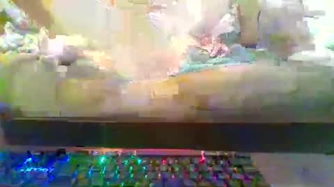 horny4bbc6981 online show from December 5, 12:37 am