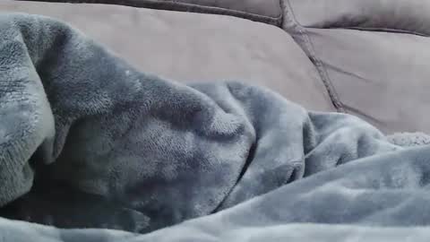 BigFTMdick online show from December 24, 10:28 pm