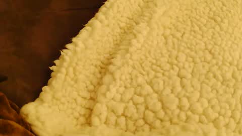 BigFTMdick online show from February 4, 5:53 am