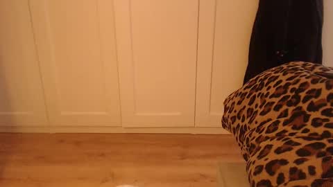 Ifk Donkeys online show from October 15, 5:51 am