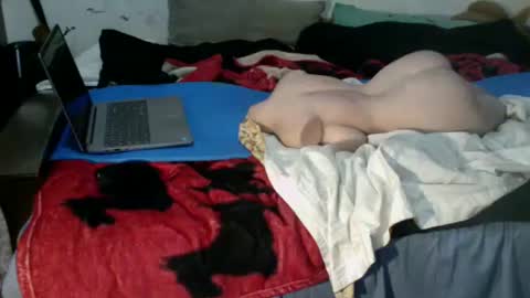 tsfemboi todd online show from December 14, 5:41 pm