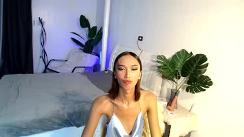 lillyholland online show from February 12, 4:01 am