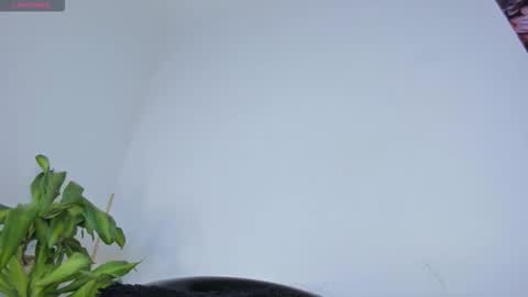 luciana online show from November 20, 3:51 am