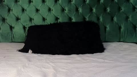 Lumars online show from January 29, 1:37 am