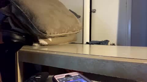 martasub online show from December 15, 4:12 pm