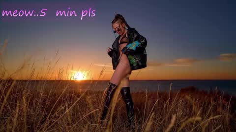 Meeeow  opening hours are from 2200 in New York online show from November 10, 2:45 am