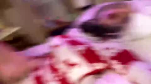 mickisofine online show from December 10, 4:38 pm