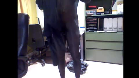 misterbobbyxx online show from February 19, 11:55 pm