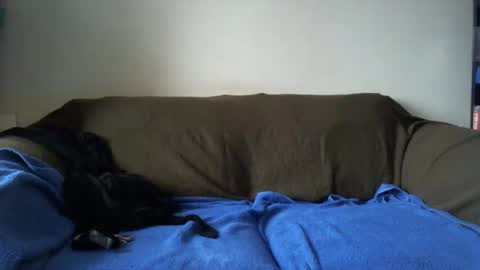 Chloeeee xxx online show from January 14, 11:53 am