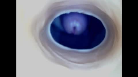 Paula 18 Aninhos online show from February 10, 2:18 am