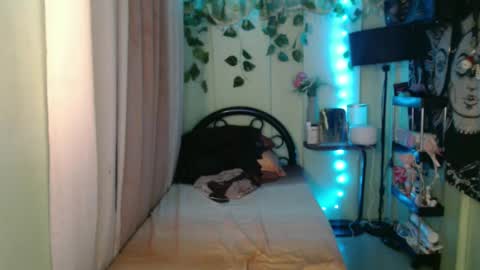 sie online show from December 15, 2:48 pm