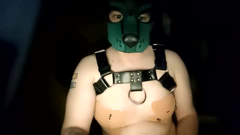 Pup Kori online show from June 8, 6:13 am