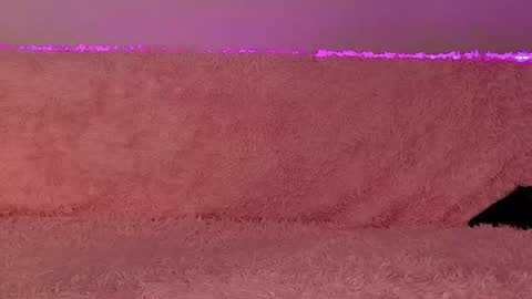 Dasha online show from November 1, 8:39 pm