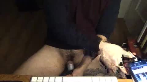 pussydude online show from January 9, 1:16 pm