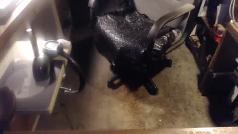 Ronda online show from November 9, 5:19 am