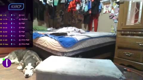 sailormoontrans online show from January 5, 12:53 pm