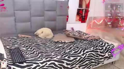 salome online show from February 12, 5:52 pm