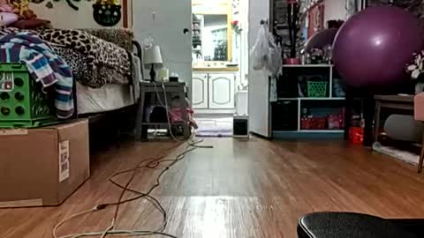 sexiwhiskey699 online show from February 23, 9:01 am