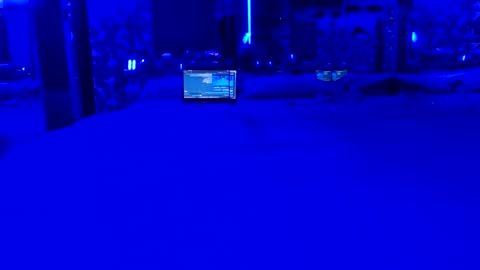 siss11 online show from May 21, 6:42 am