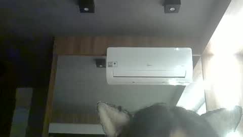 skinnykittencam online show from January 9, 5:01 am