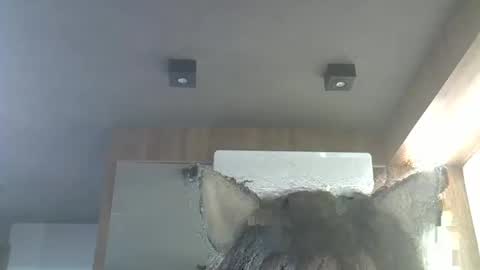skinnykittencam online show from January 13, 10:12 am