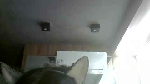 skinnykittencam online show from May 31, 8:21 pm