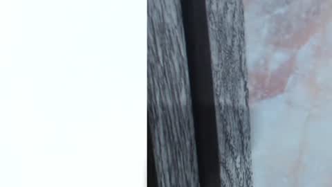 sofi_boll25 online show from June 28, 3:12 am