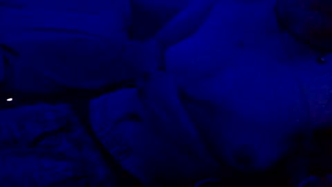 stoneyxx420 online show from May 12, 9:34 pm