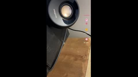 Sweaty Bunny Bitch online show from January 31, 8:22 am