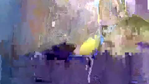 blackpie22 online show from April 16, 6:19 pm