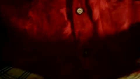 theultimatebean2572 online show from May 19, 9:49 am