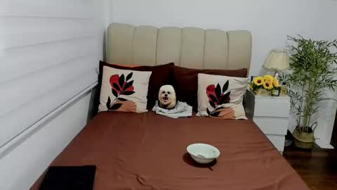 Graciella online show from September 24, 8:20 am