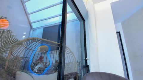 VENUS online show from November 14, 11:29 am