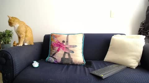 Snapshot of violetagomez_co chatting on March 12, 2:56 pm Violeta Gmez online show from March 12, 2:56 pm